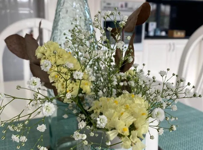 Apartamento Itaca Experience Playa Do Cabedelo