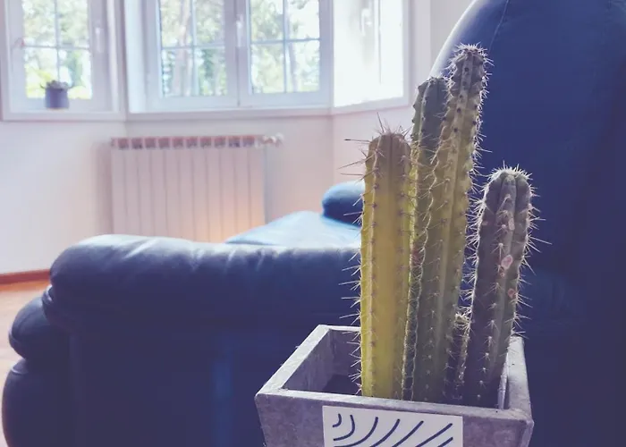 Itaca Experience Playa Do Cabedelo Апартаменты *